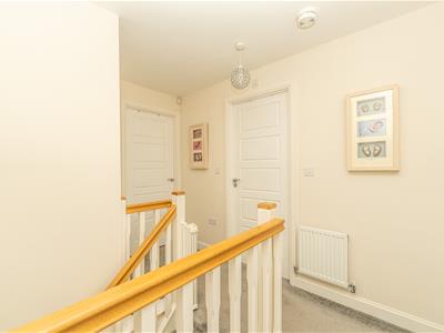 Picture 31